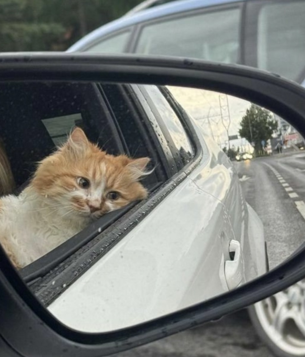 Motivación un Lunes a la noche